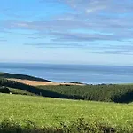 The Bird House - Coastal In Lovely Forest Setting Nr. Kinsale Cork