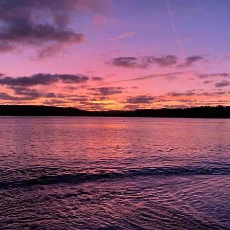 The Bird House - Coastal In Lovely Forest Setting Nr. Kinsale *