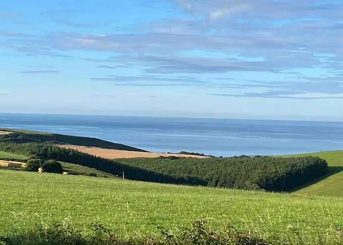 The Bird House - Coastal In Lovely Forest Setting Nr. Kinsale Cork