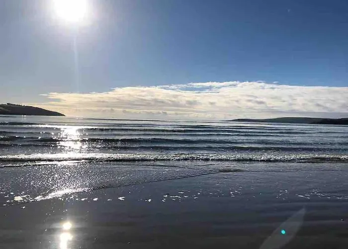 The Bird House - Coastal In Lovely Forest Setting Nr. Kinsale Ferienhaus Cork