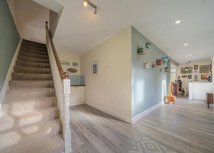 The Bird House - Coastal In Lovely Forest Setting Nr. Kinsale Ferienhaus Cork