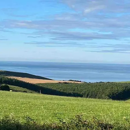 The Bird House - Coastal In Lovely Forest Setting Nr. Kinsale Cork