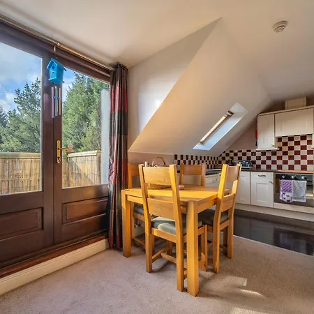 The Bird House - Coastal In Lovely Forest Setting Nr. Kinsale Holiday home