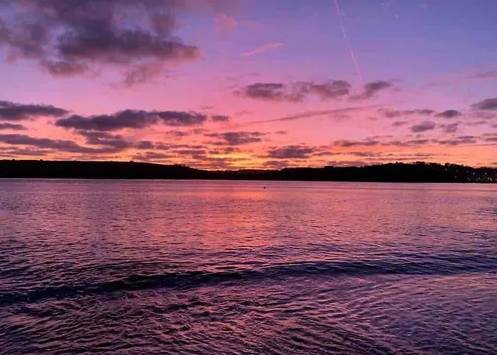 The Bird House - Coastal In Lovely Forest Setting Nr. Kinsale *